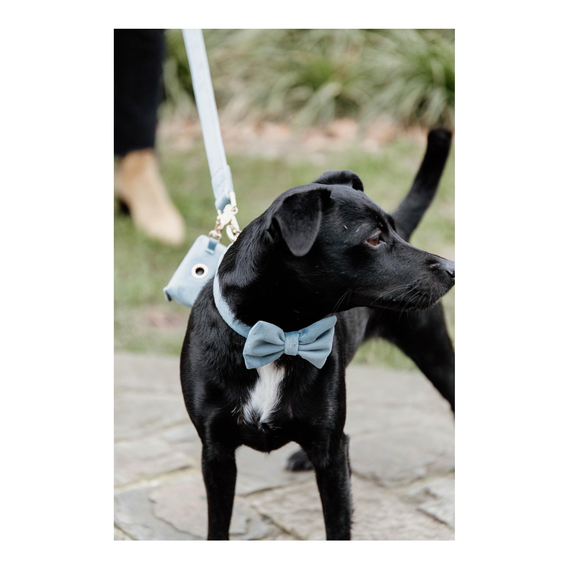 Distributeur de sacs à crottes Velvet Square 