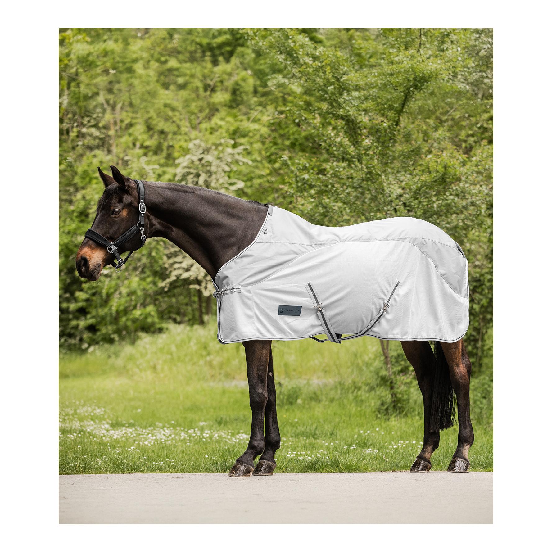 Regen-Fliegendecke Protect