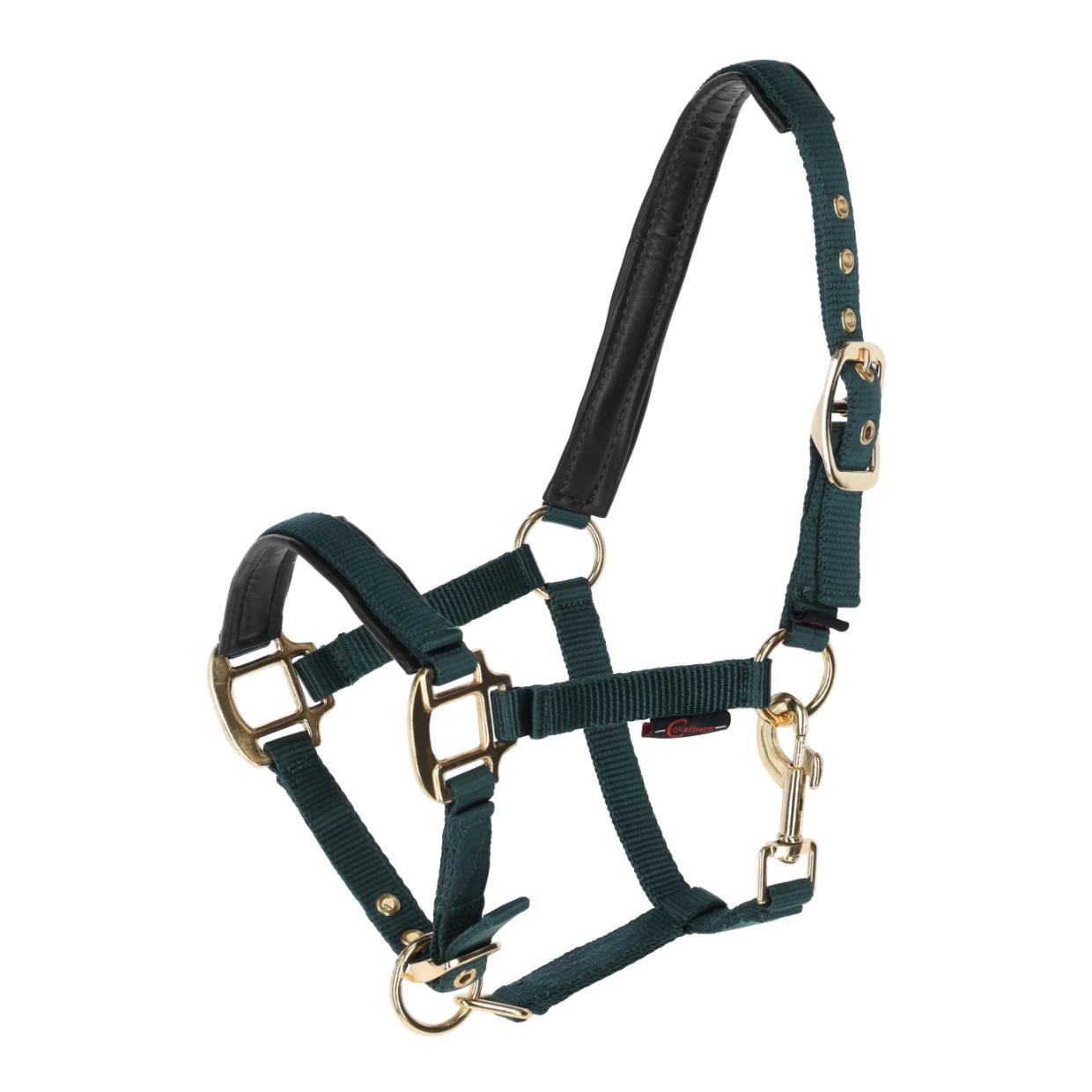 Kerbl Fohlenhalfter TopLine