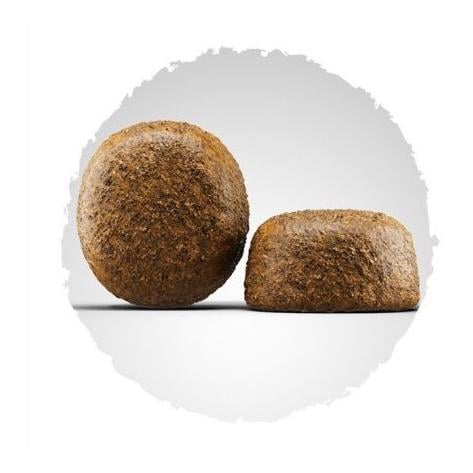 Nourriture sèche Large Breed pour les chiens de grandes races