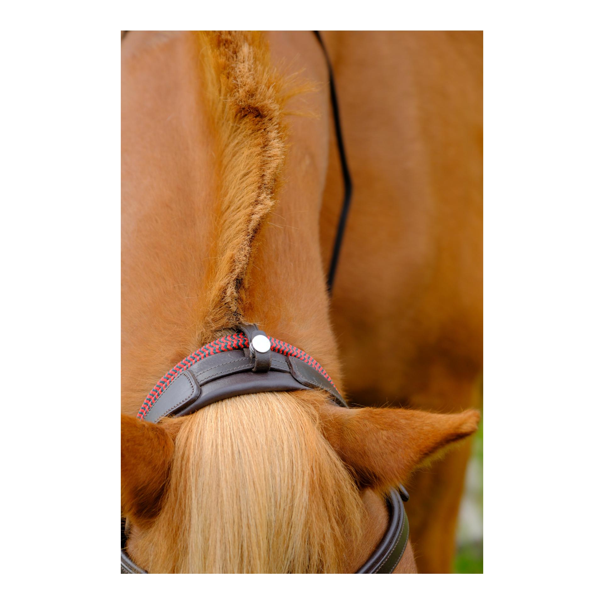 F.R.A Campari Kombitrense