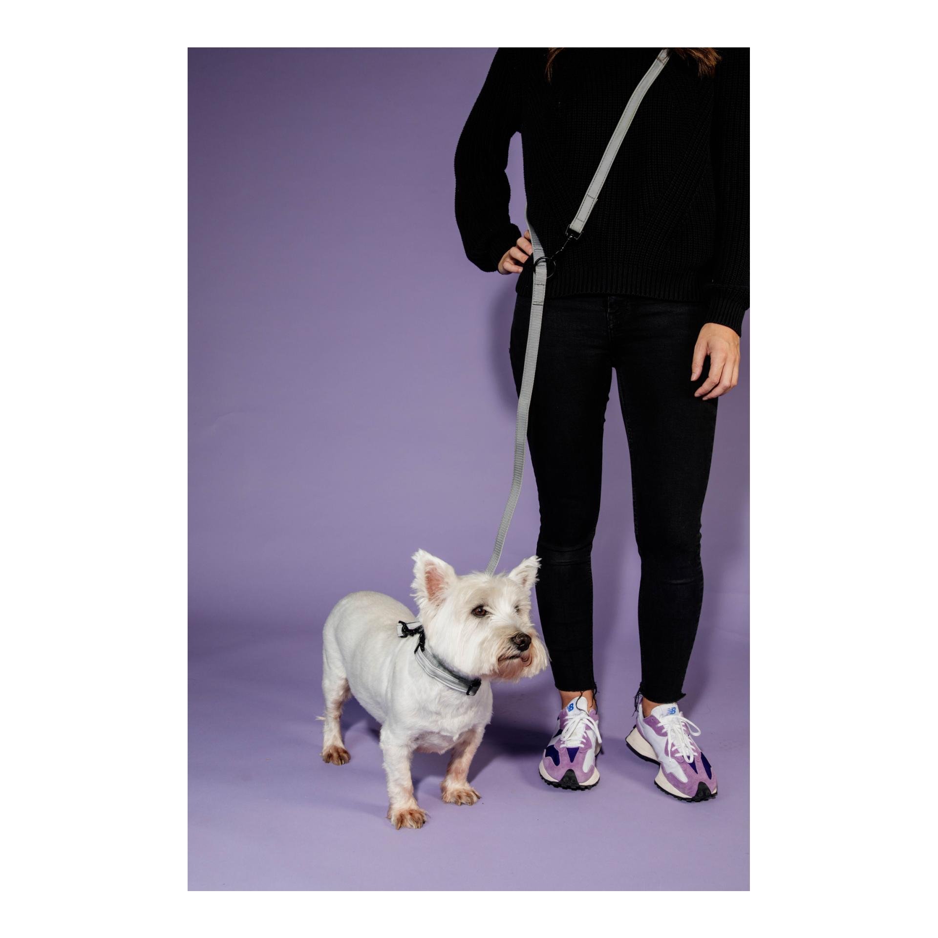 Hundehalsband Reflective - silber