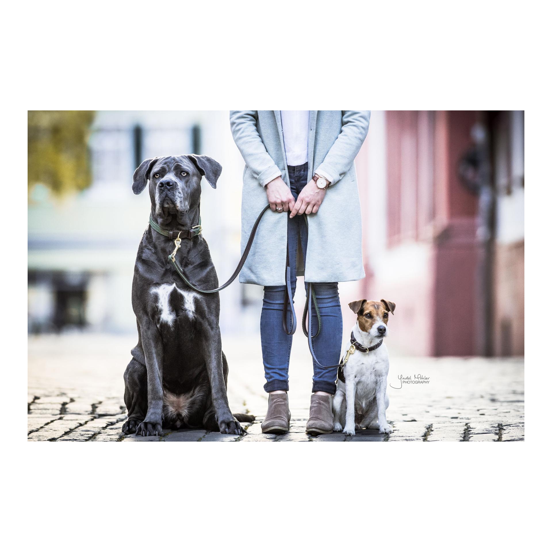Hundehalsband Nylon geflochten - olive green Hundehalsband Nylon geflochten - olive green