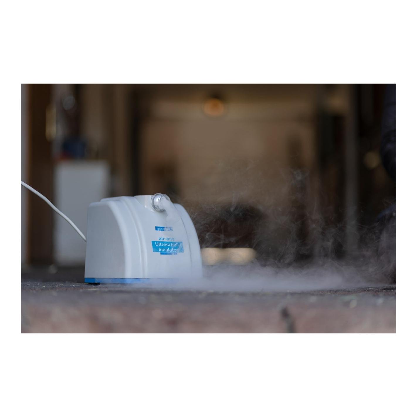 Ultraschall-Inhalator für Pferde AirOne Ultraschall-Inhalator für Pferde AirOne