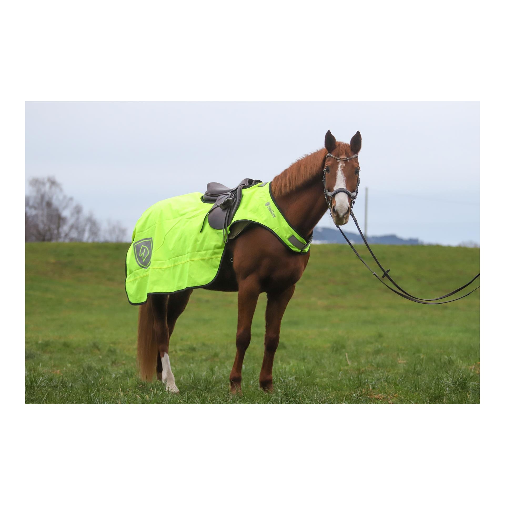 Decken-Set Outdoor Adventure Walker Rug & Ausreitdecke Deluxe Decken-Set Outdoor Adventure Walker Rug & Ausreitdecke Deluxe