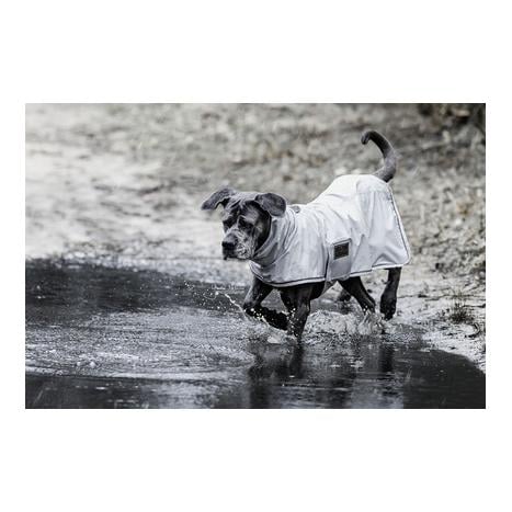 Hunde Regenjacke Hunde Regenjacke