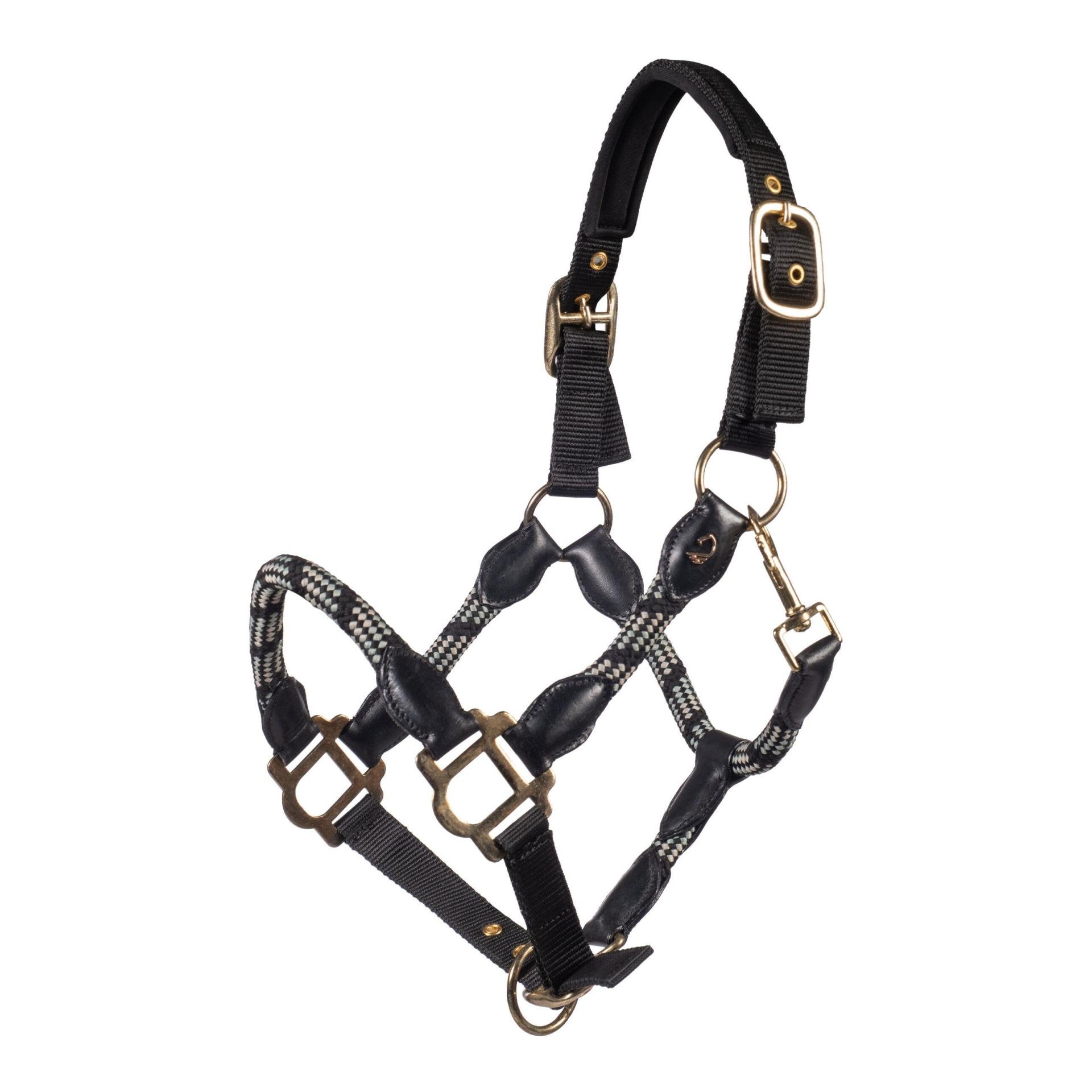 Halfter Limone Sportive