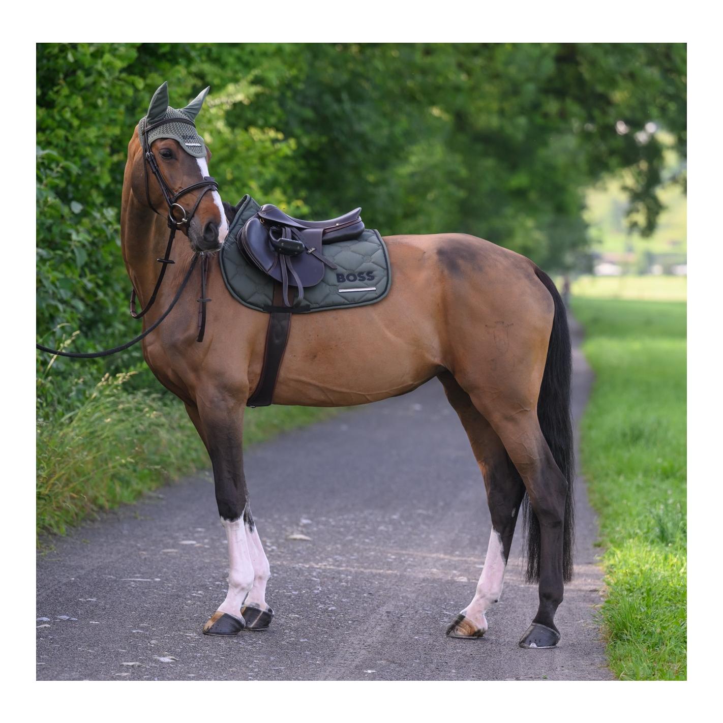 BOSS Equestrian Chabraque de saut Cheltenham Tape