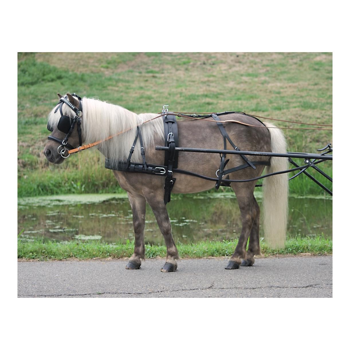 Einspänner-Brustblattgeschirr - schwarz