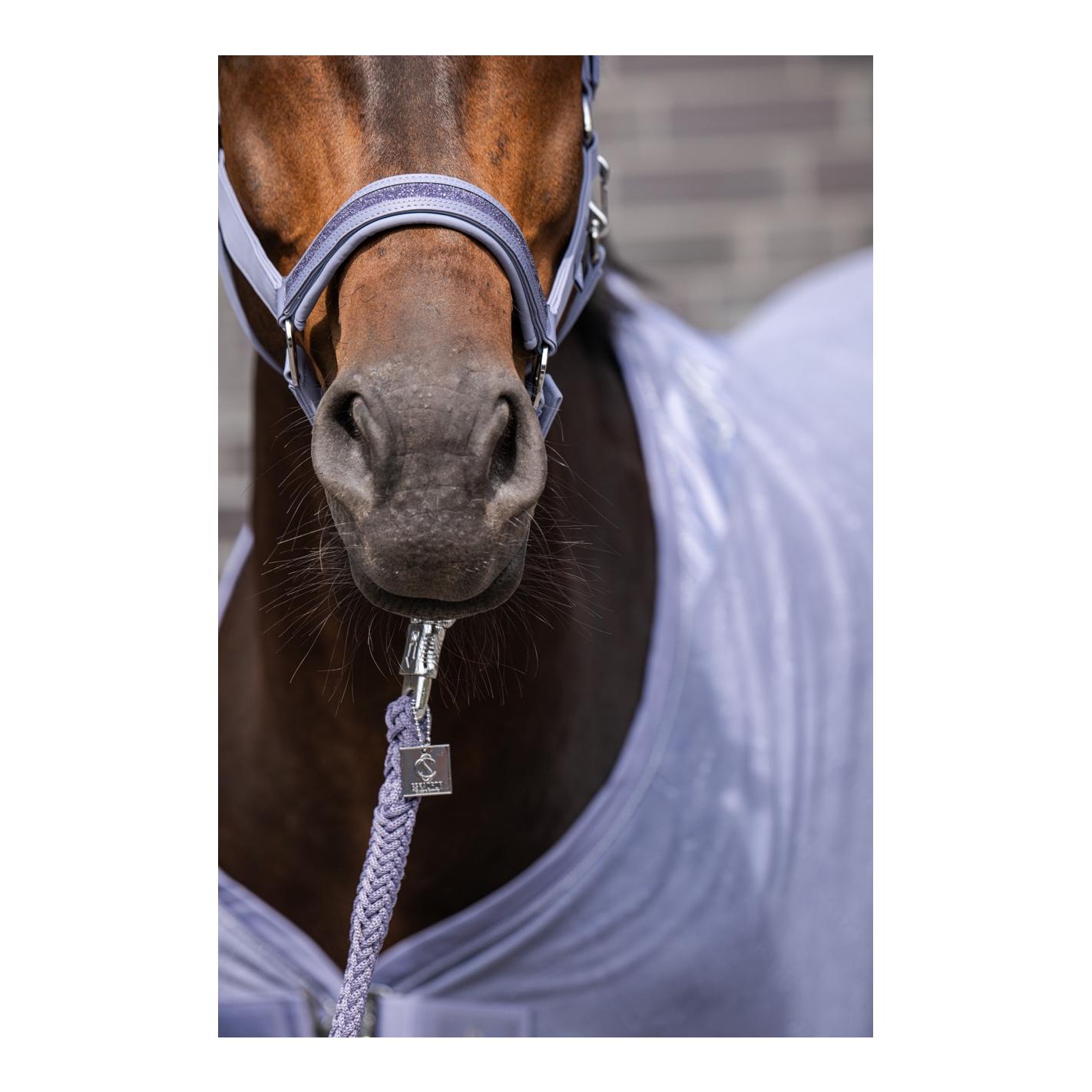 Eskadron Halfter SOFTSHELL JEWEL DP Classic Sports SS26