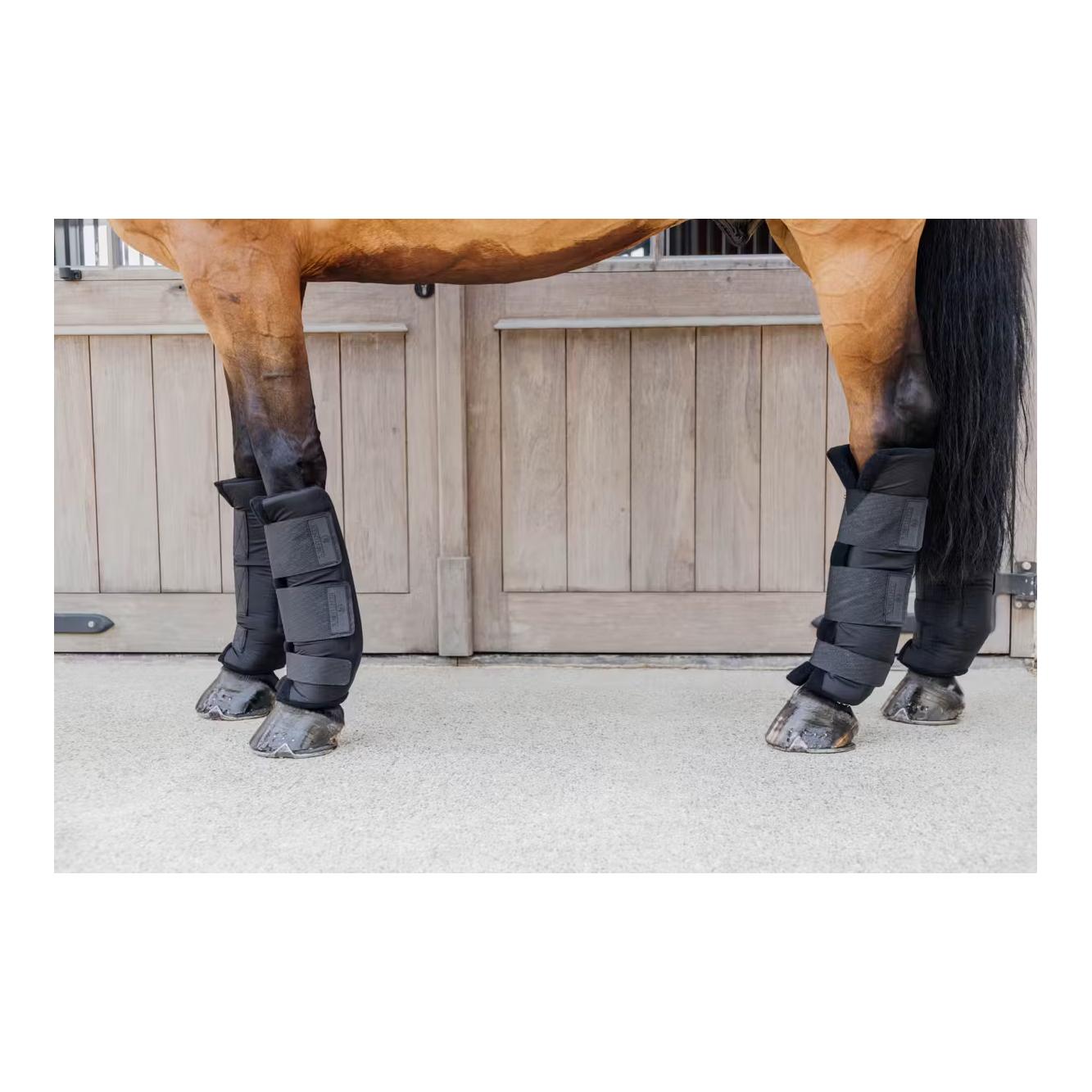 Stallgamaschen PROtect classic hinten Stallgamaschen PROtect classic hinten
