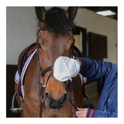 Tack Cleaner Handschuh Tack Cleaner Handschuh