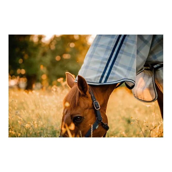 Fliegendecke Horseware Newmarket Pony Plus Fliegendecke Horseware Newmarket Pony Plus