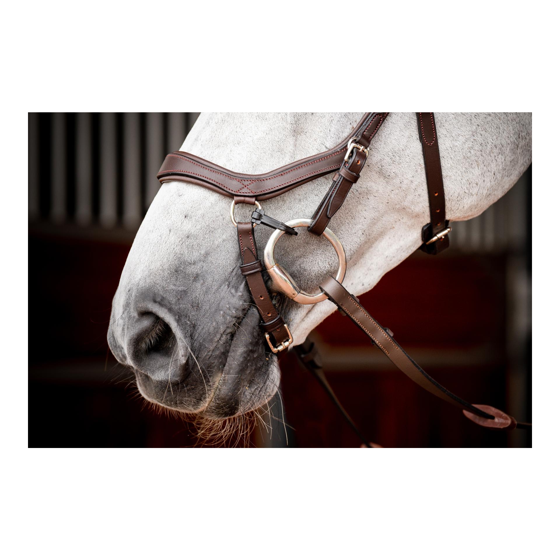 Zaum Micklem3 Competiton ohne Zügel