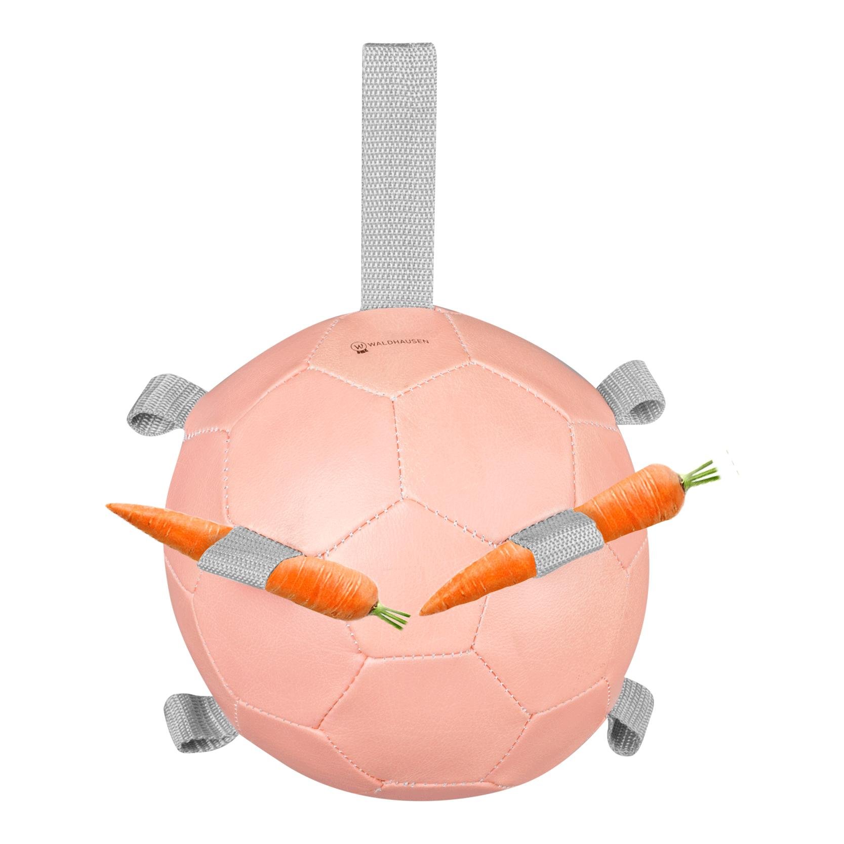 Karottenball Karottenball