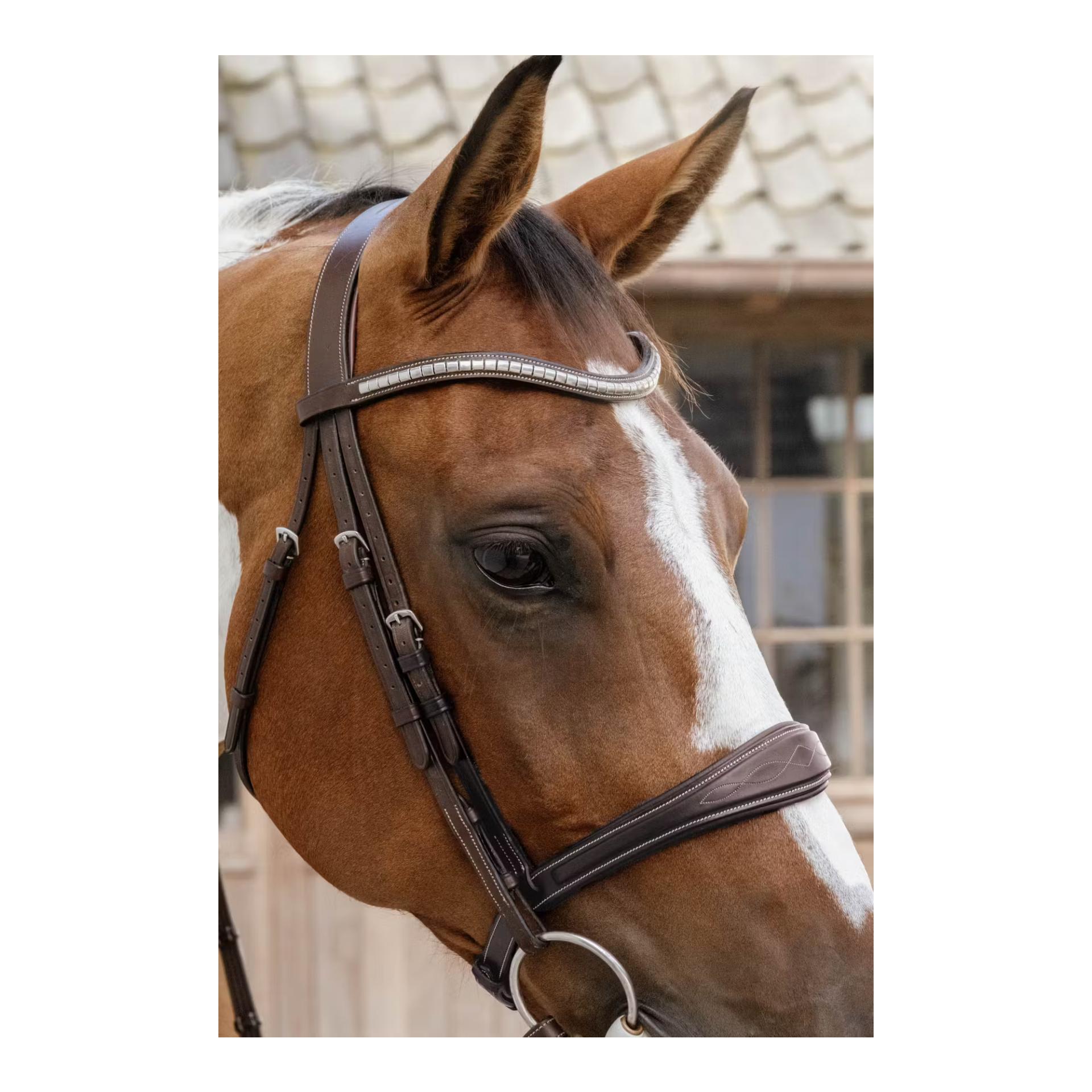 Anatomic noseband without flash Jumping Anatomic noseband without flash Jumping