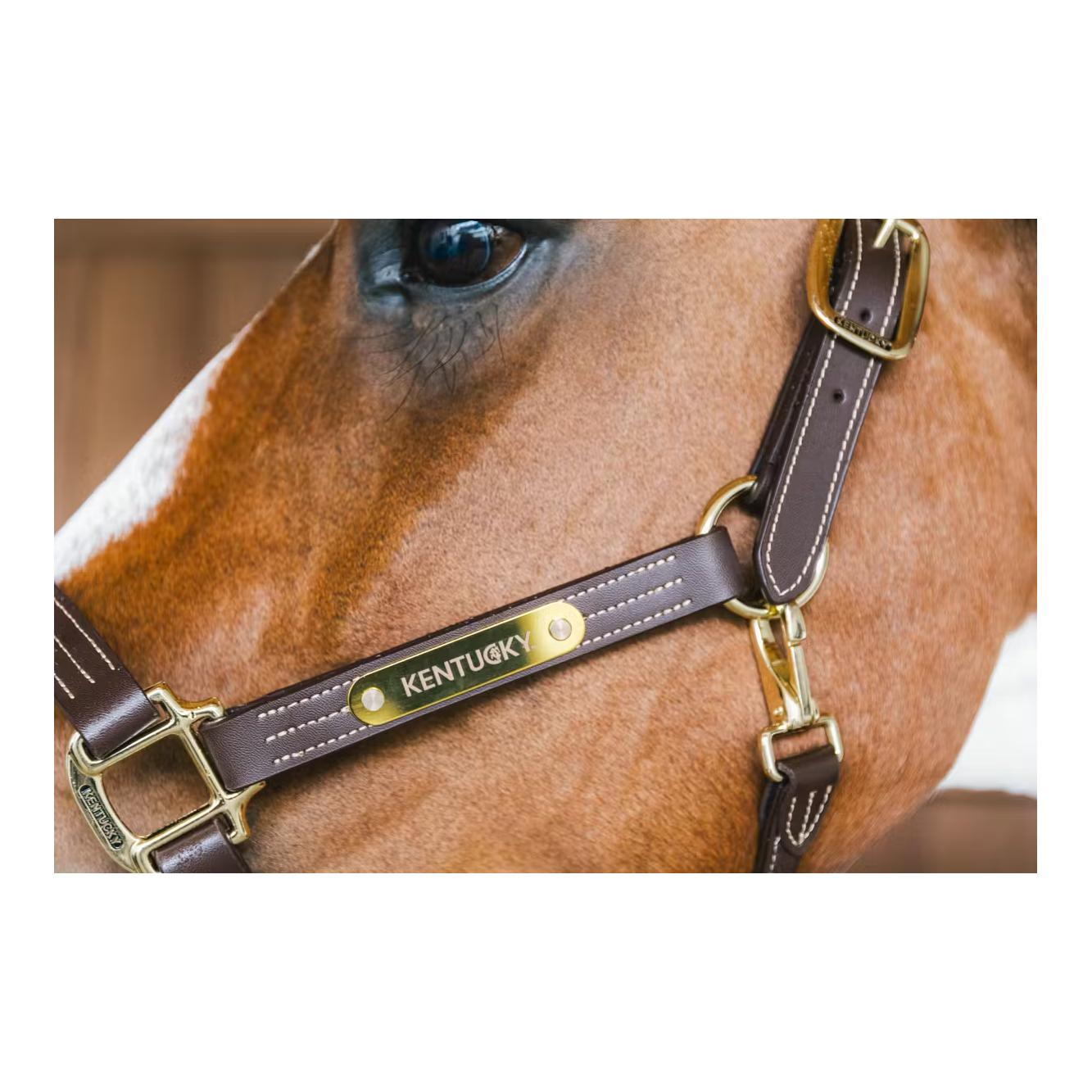 Leder Halfter Wellington Leder Halfter Wellington