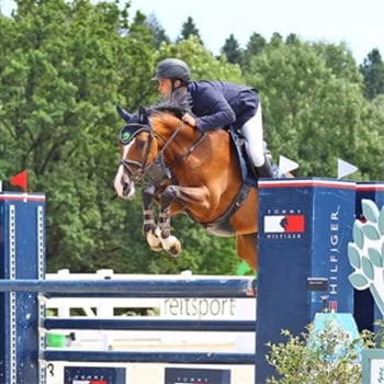 3erbild GLK_0001_Bildschirmfoto 2024-02-22 um 14.09.35