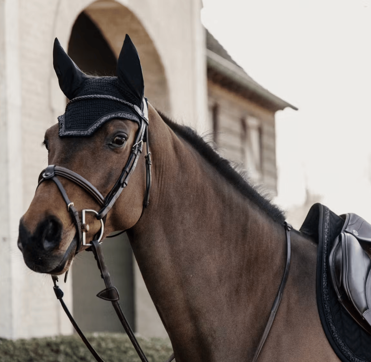 Kentucky Fliegenhaube Wellington Glitter Stone