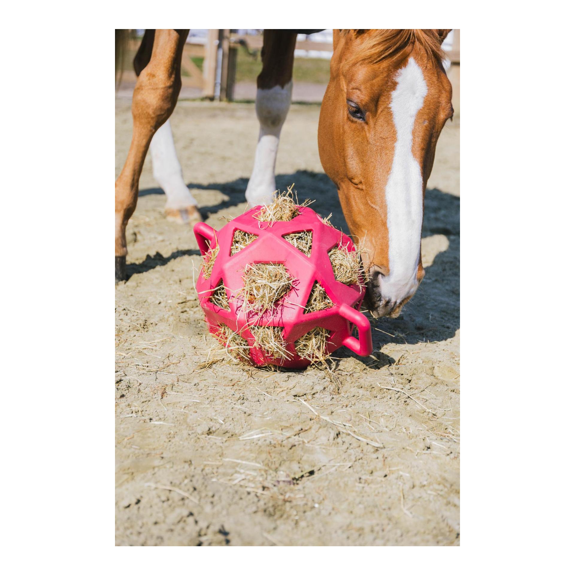 Relax Horse Spiel & Heuball