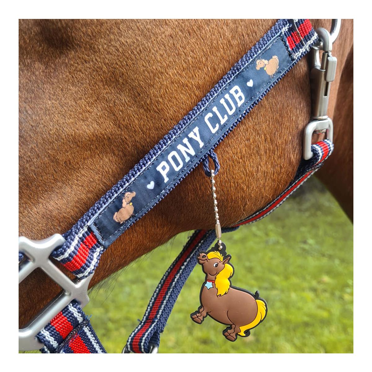 Soulhorse Halfter Dual Alu "Pony Club" Couleur: America, Taille du licol: Cob