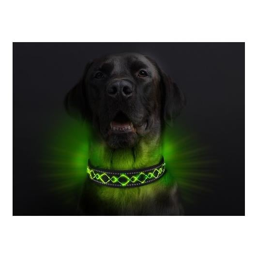Leucht-Hundehalsband "Beauty"