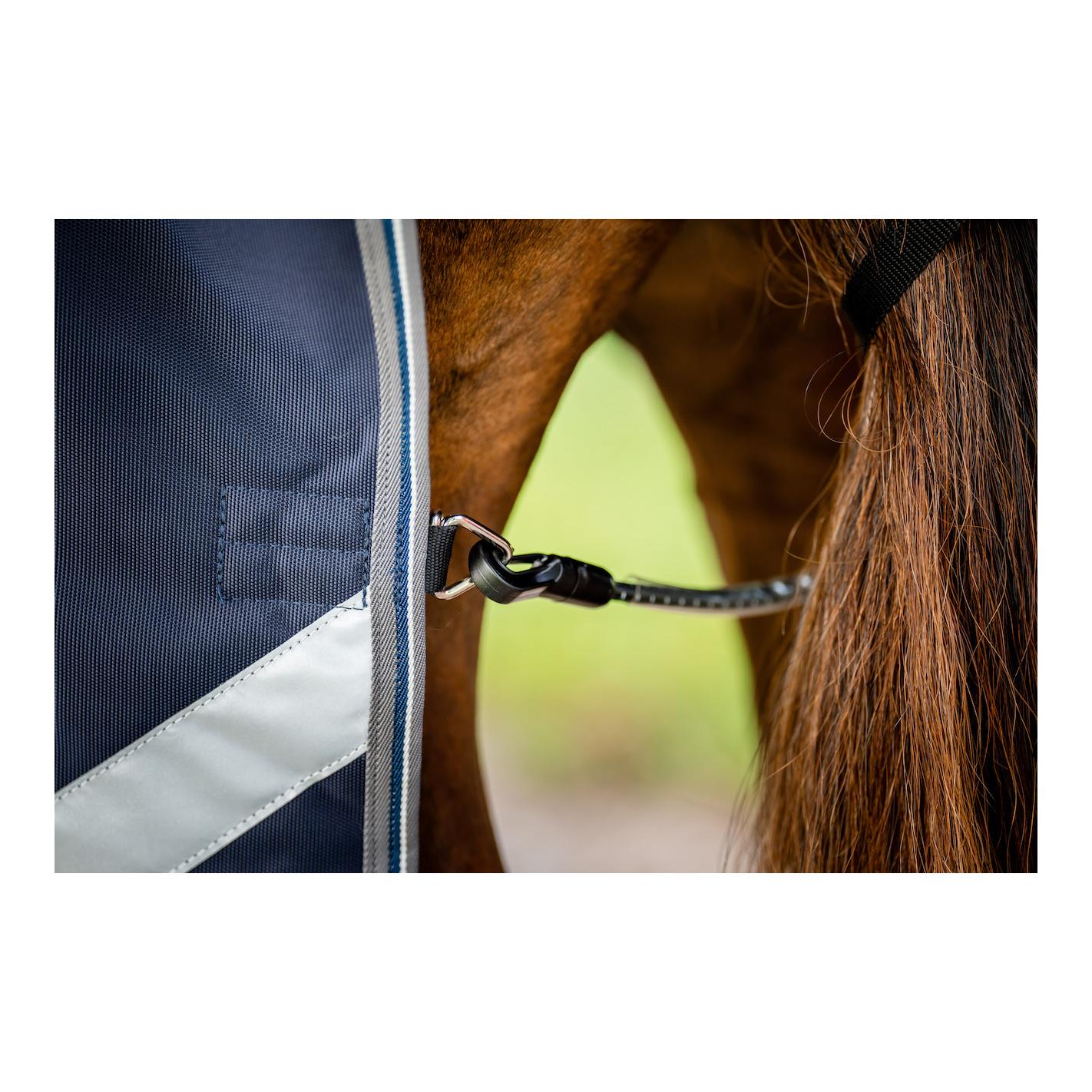 Weidedecke Rambo 1680D Turnout 50g