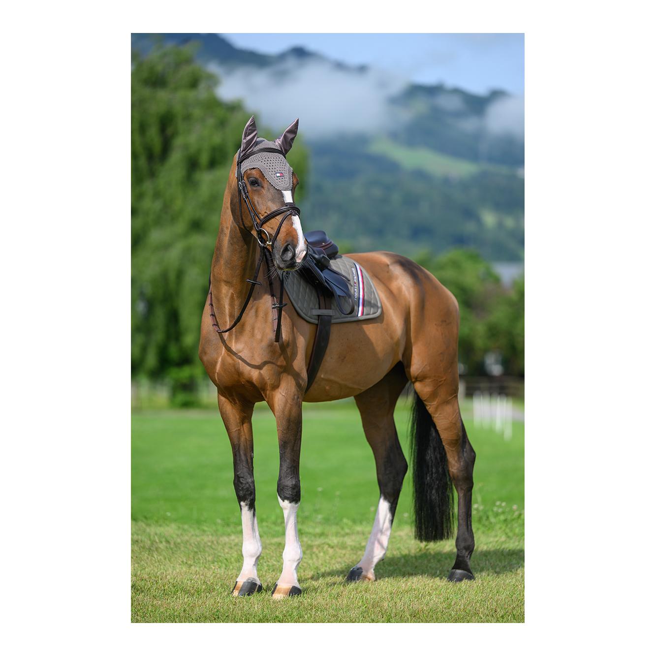 Tommy Hilfiger Equestrian Schabracke Springen Stanford 