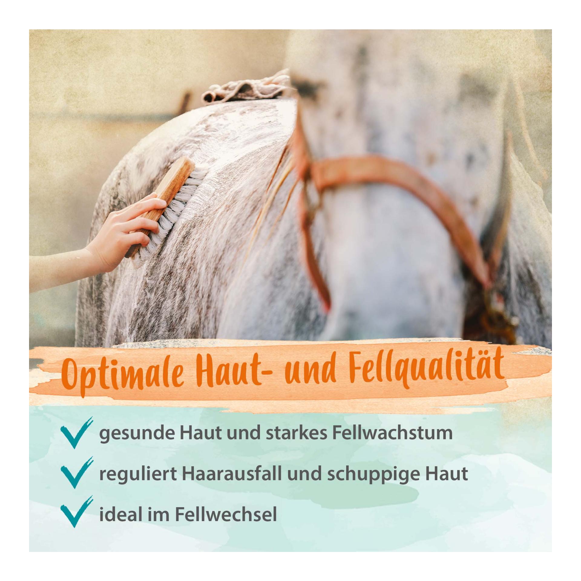 Biotin + Zink für Pferde - hochdosiert - verbessert Hufqualität & Hufwachstum Biotin + Zink für Pferde - hochdosiert - verbessert Hufqualität & Hufwachstum