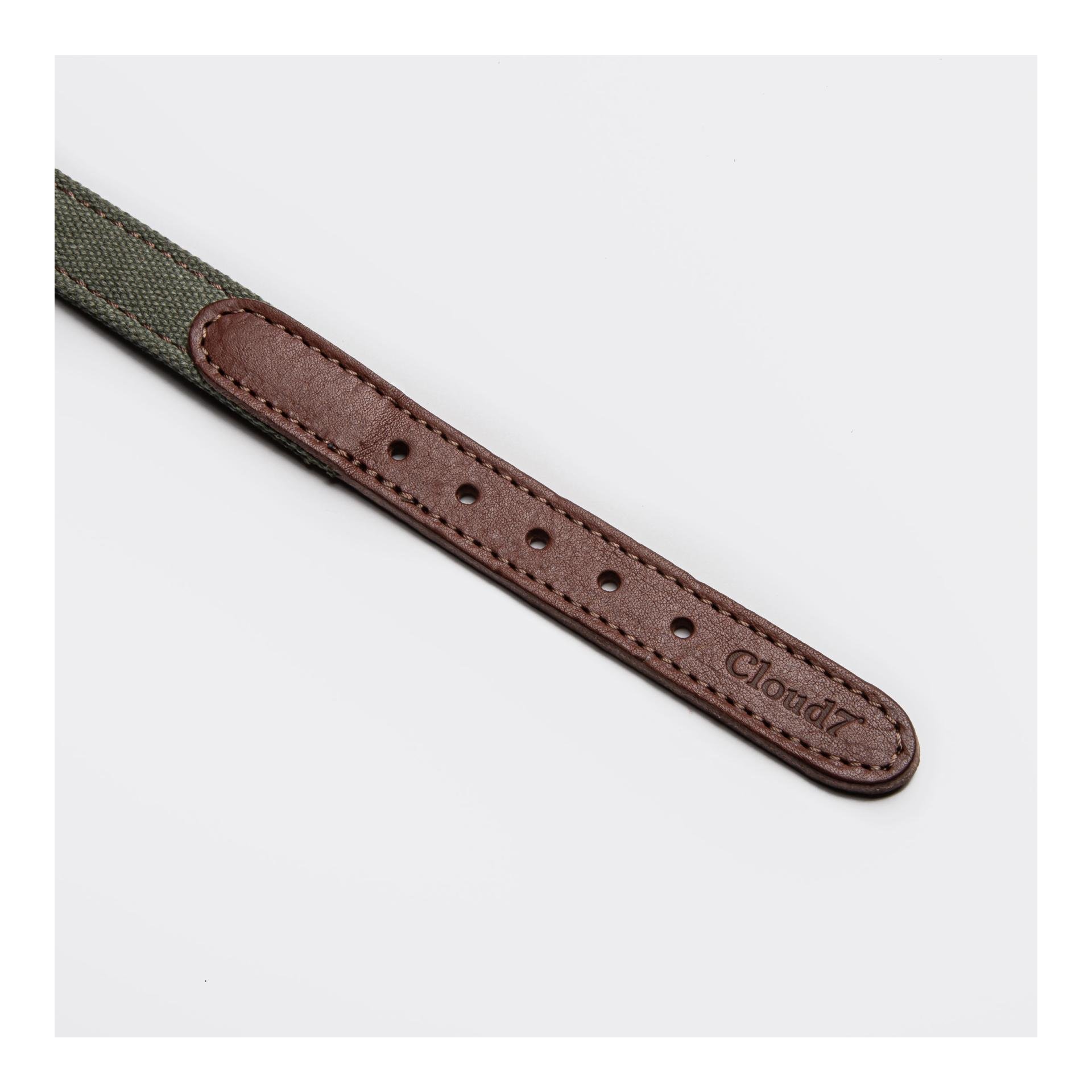 Hundehalsband Tivoli - olive Hundehalsband Tivoli - olive