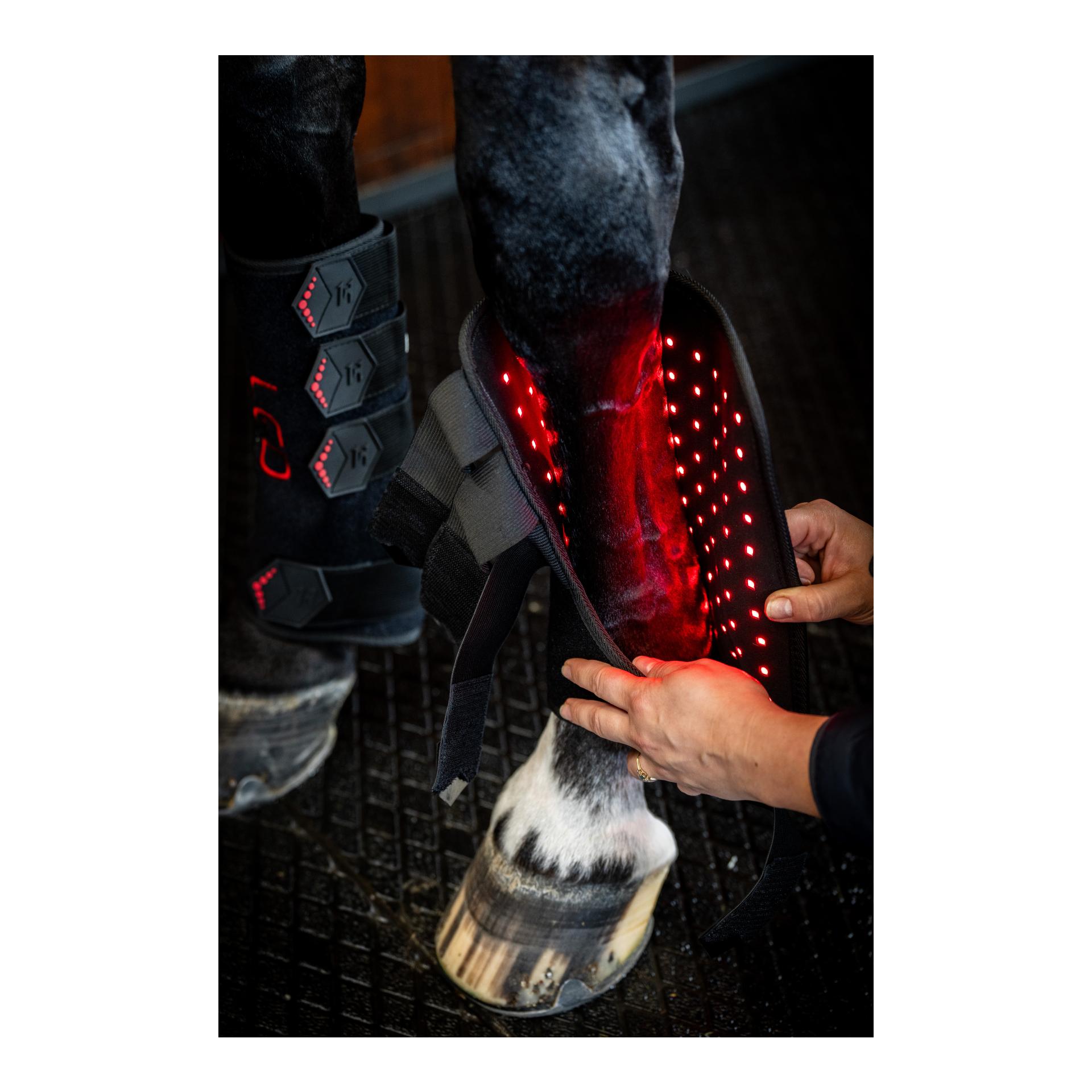 Horseware LED Red Light Therapy Leg Wraps Pair