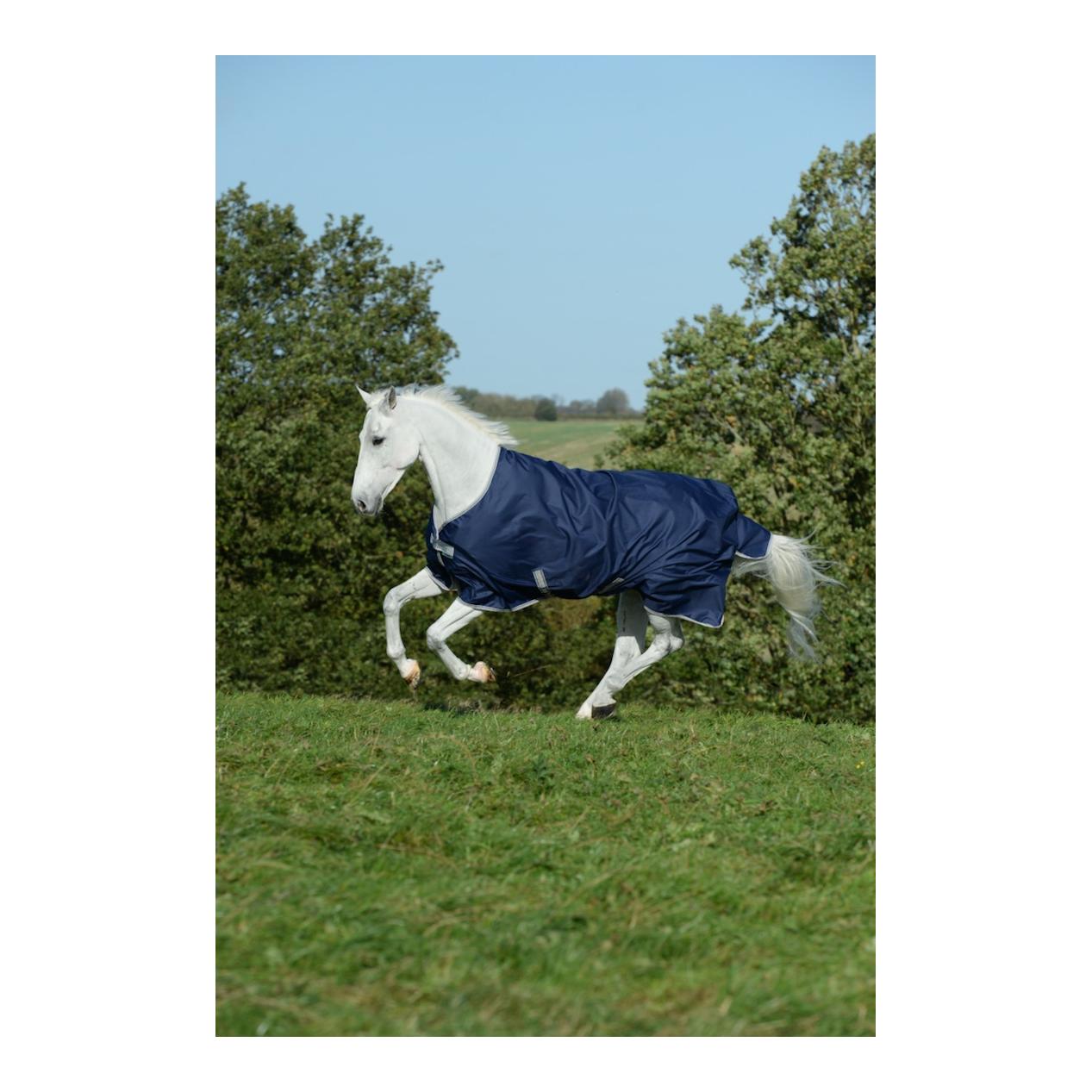 Couverture d'hiver FREEDOM Turnout 150g - bleu marine/argent