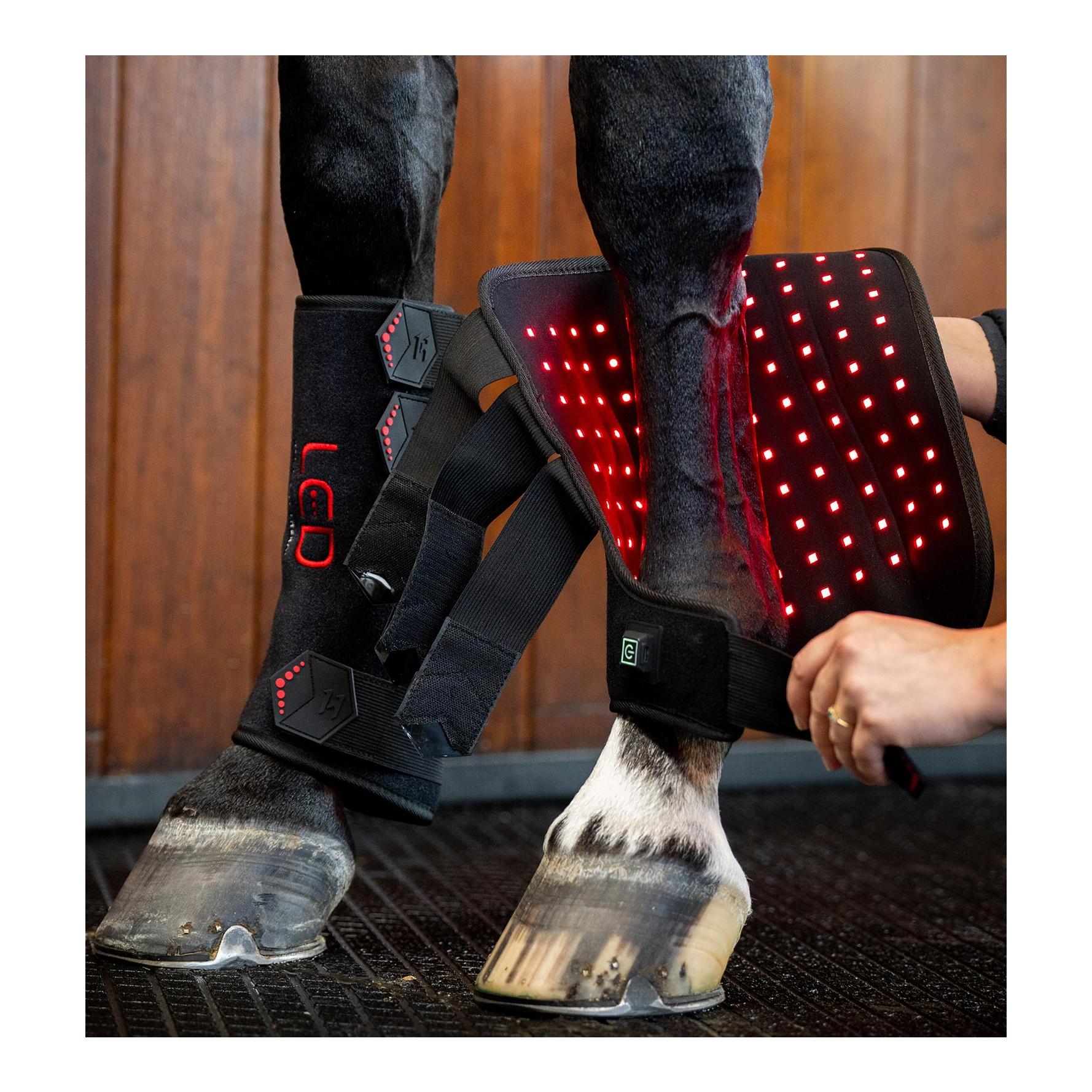 Horseware Gamache thérapeutique LED LED lumière rouge - Full