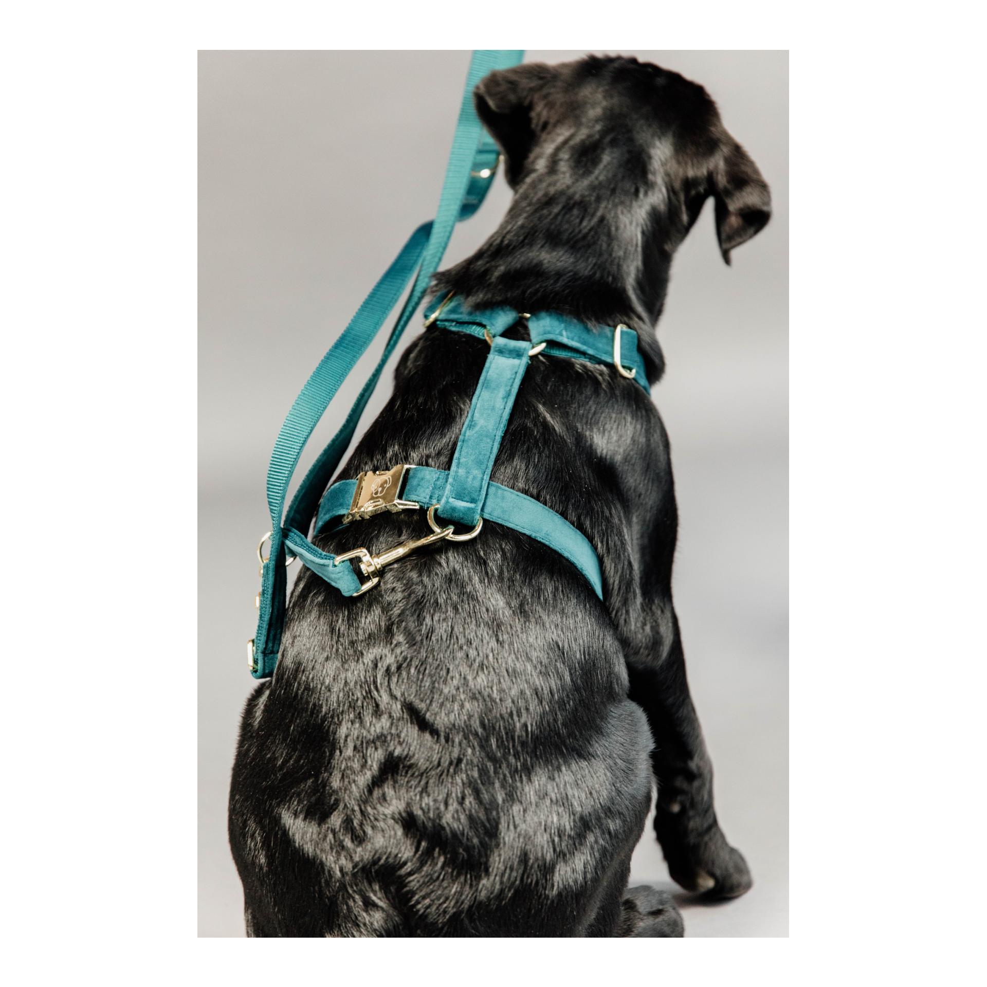 Hundeleine Velvet - emerald Hundeleine Velvet - emerald