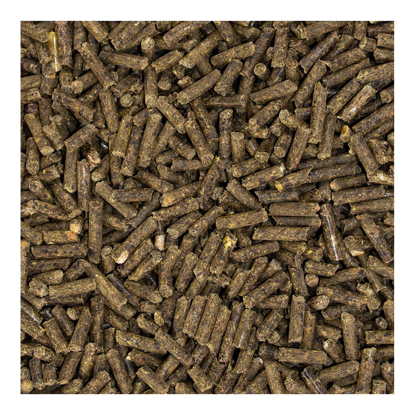 Speed Mobility boost