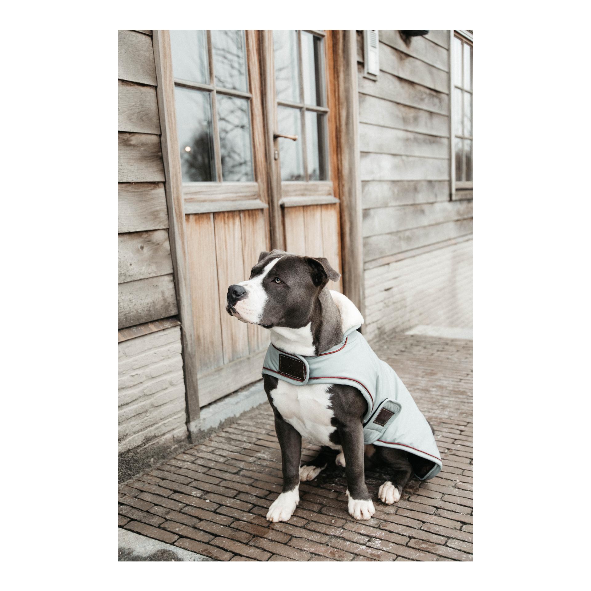 Hundemantel Wasserdicht 160g - Dusty Blue Hundemantel Wasserdicht 160g - Dusty Blue