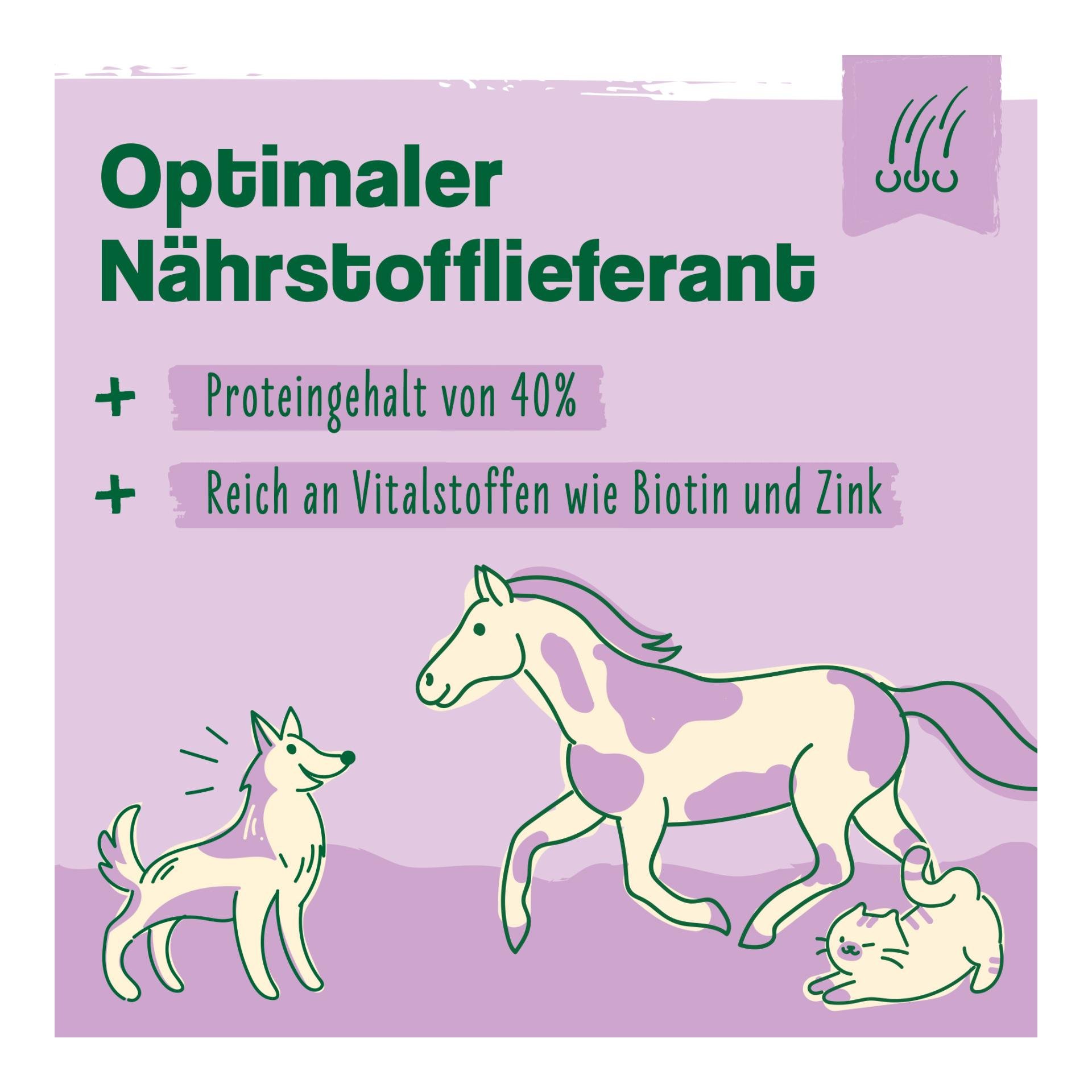 IdaPlus Bierhefe Pulver - Futterergänzung für glänzendes Fell & kräftige Haut