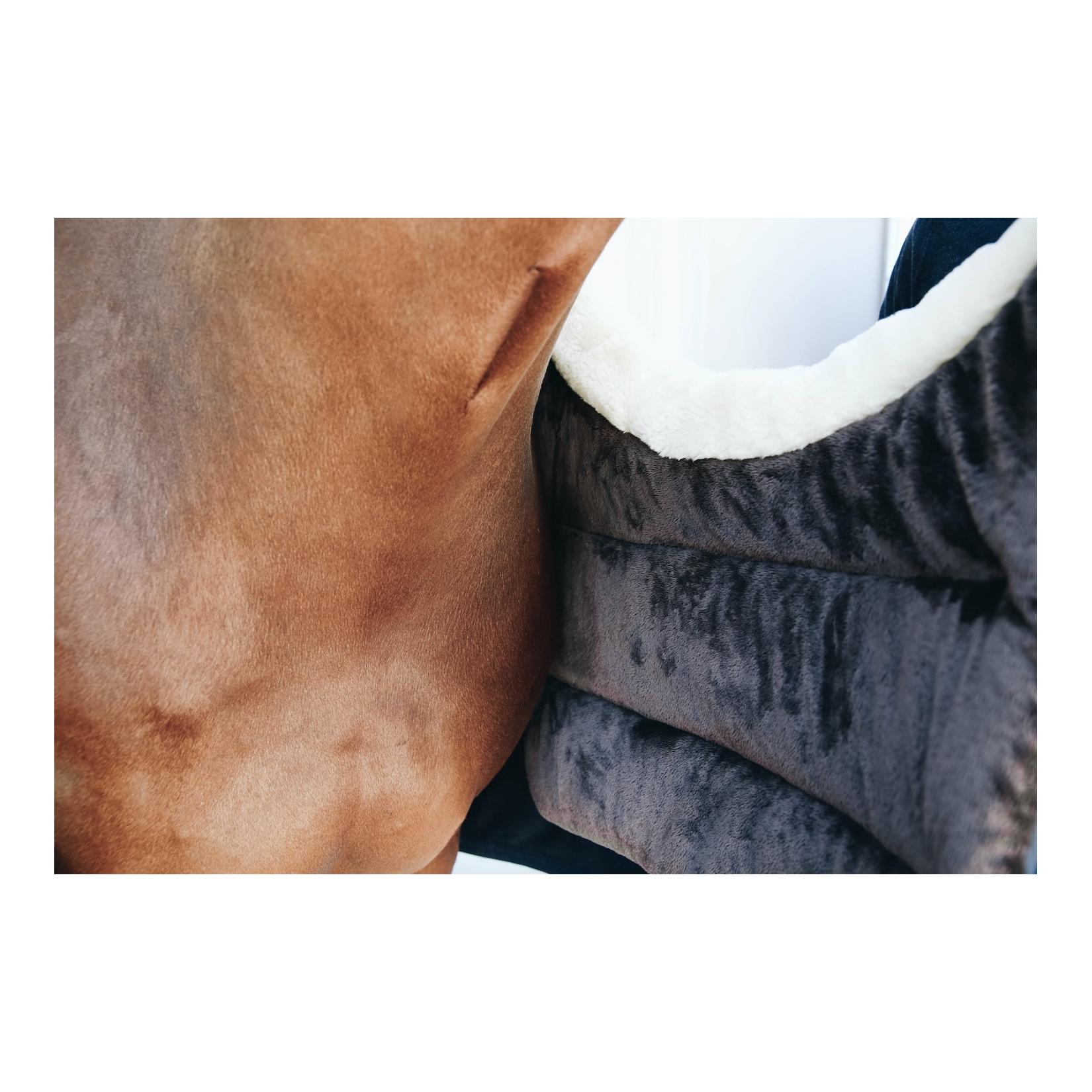 Horse BIB Winter Decken-Brustschutz - navy