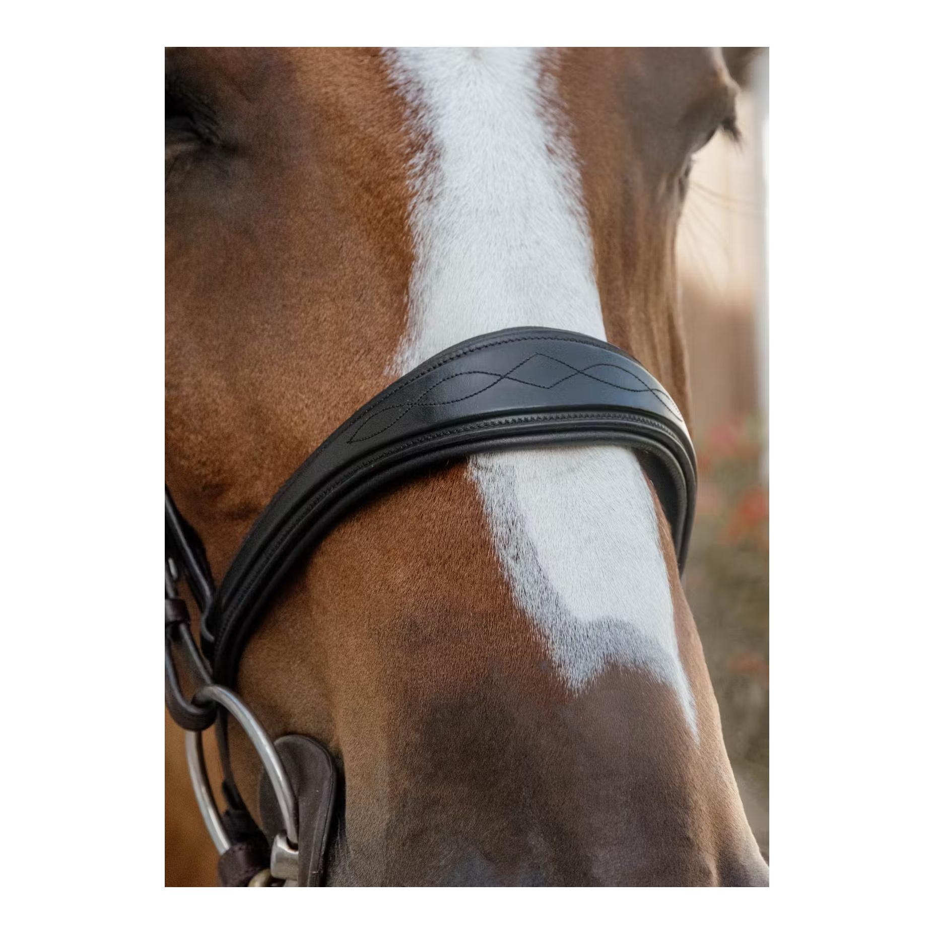 Anatomic noseband without flash