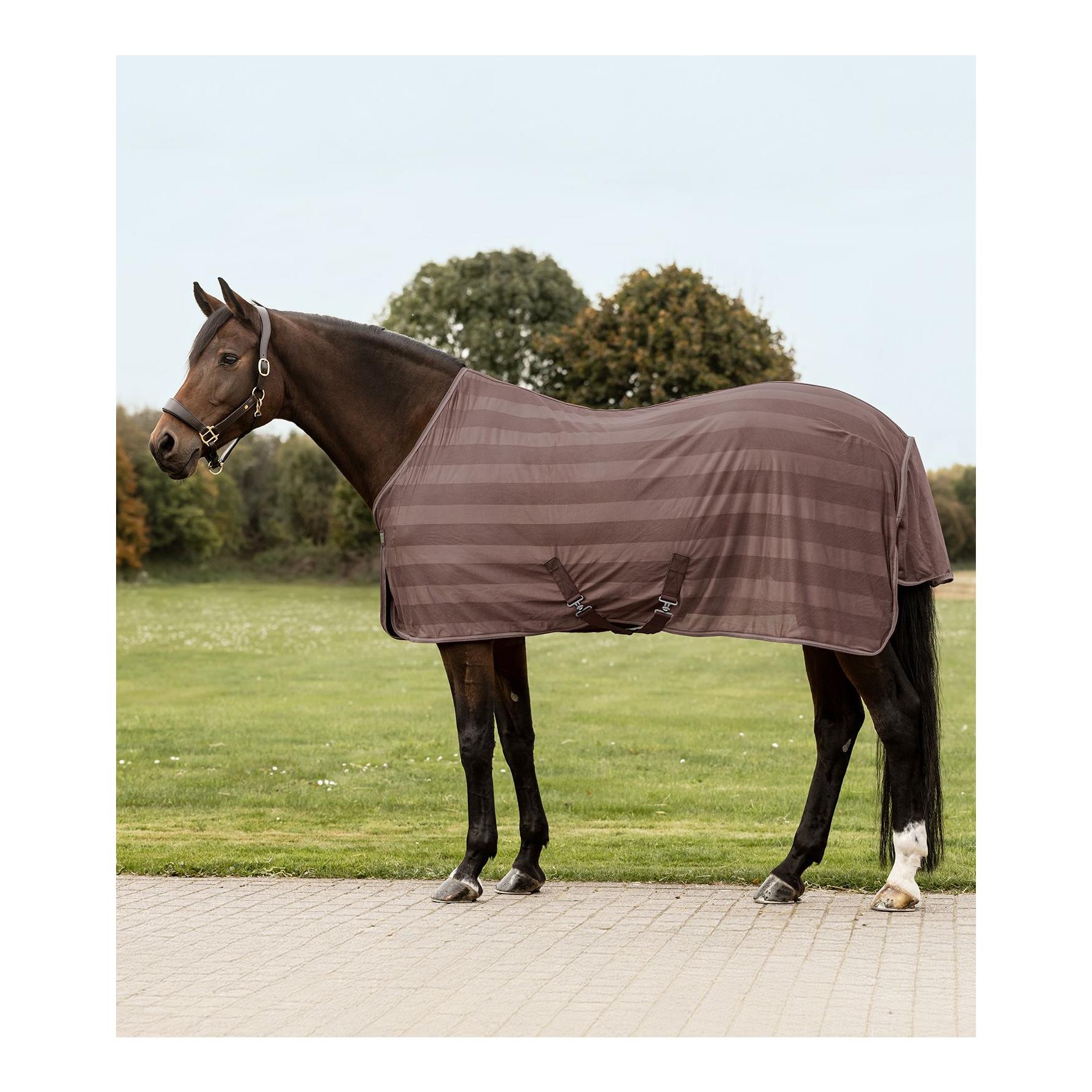 Waldhausen Fliegendecke Economic Kreuzbegurtung Couleur: Mocca, Taille de la couverture pour chevaux: 105 cm