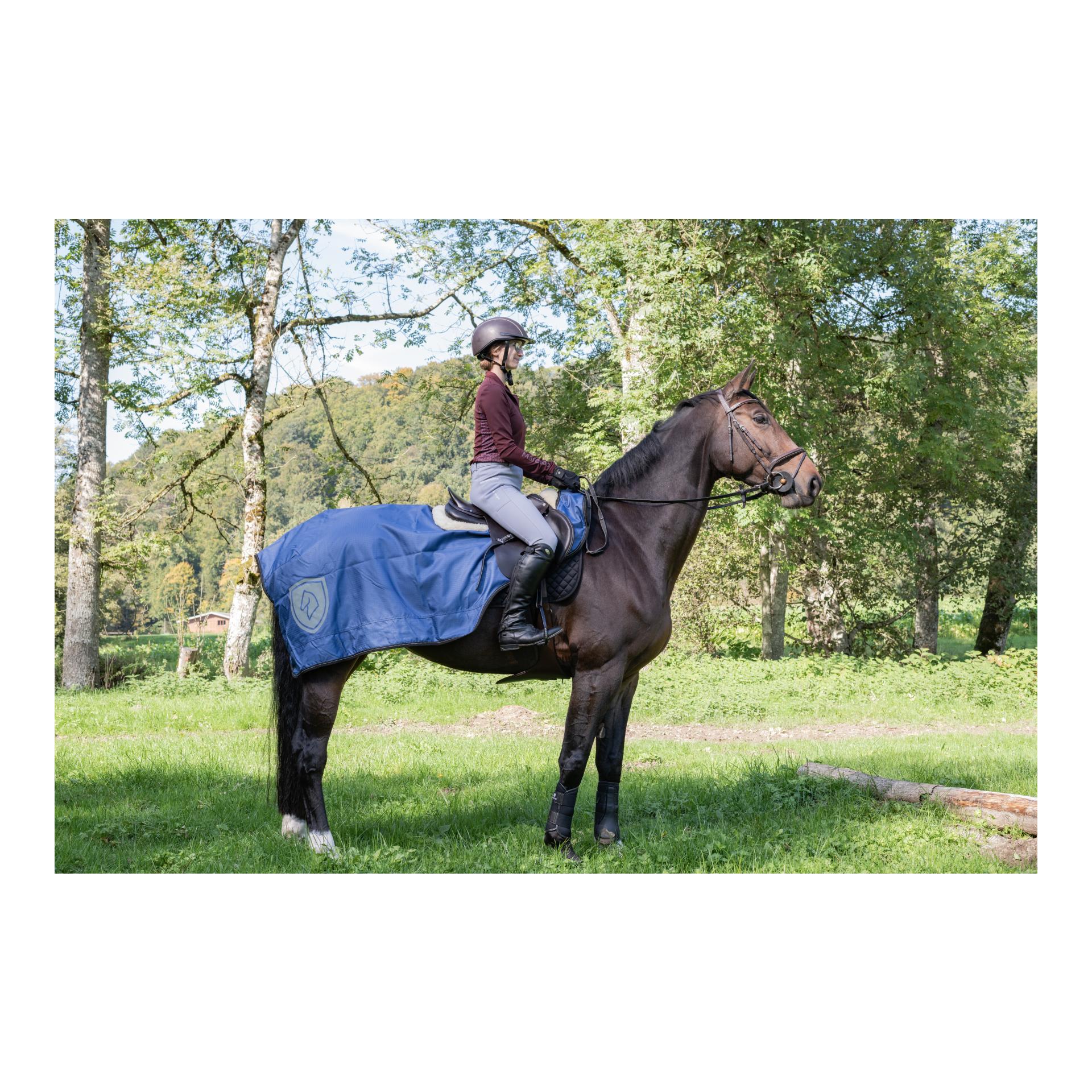 Regen-Nierendecke Reflex