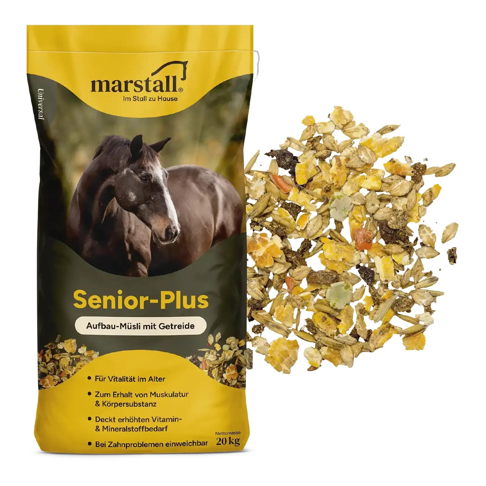 Senior Plus