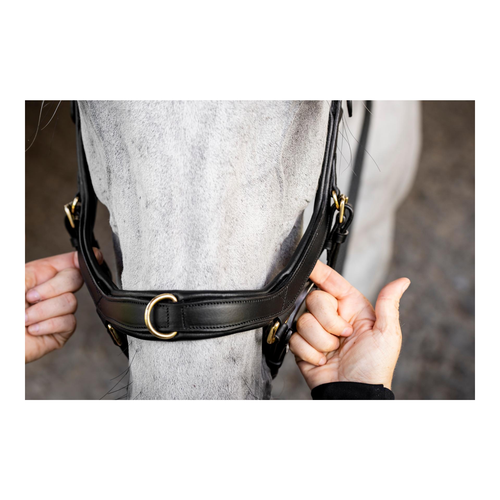 Horseware Zaum Micklem Multi