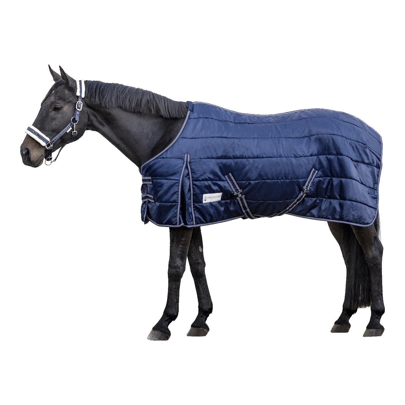 Stalldecke Economic 100 g