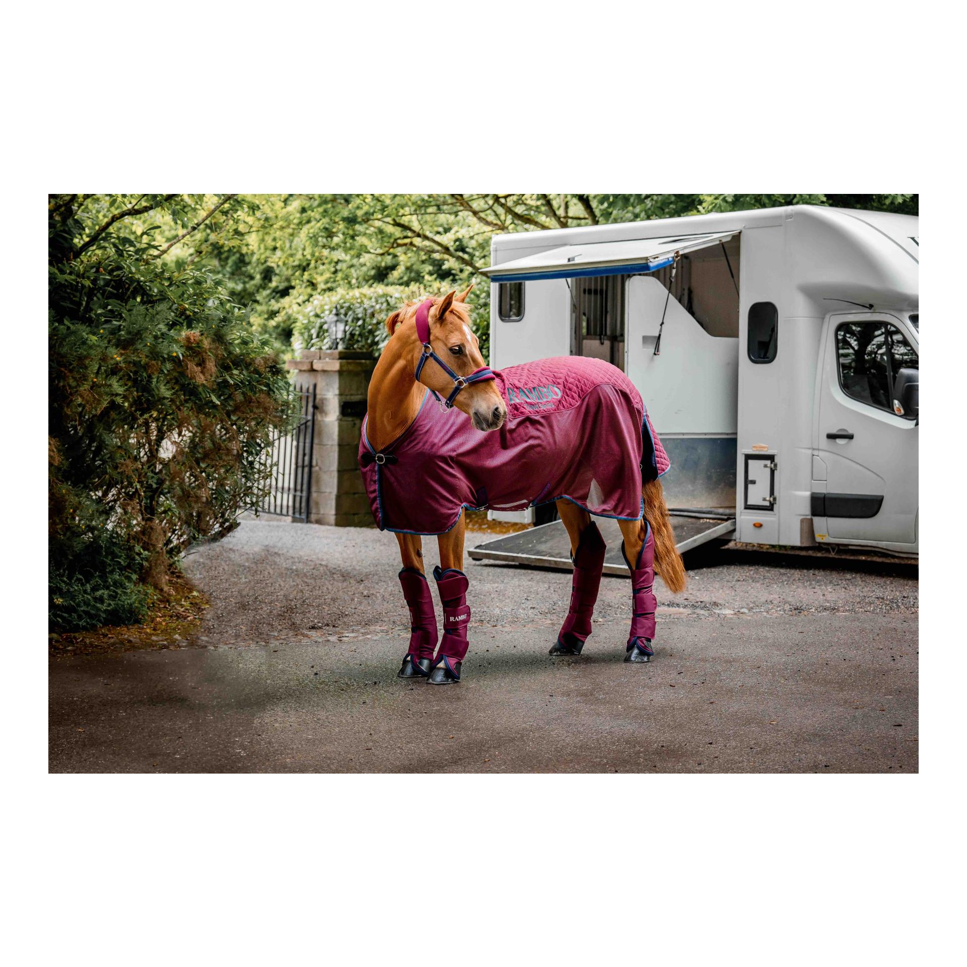 Transportdecke Rambo Travel Series - burgundy Transportdecke Rambo Travel Series - burgundy