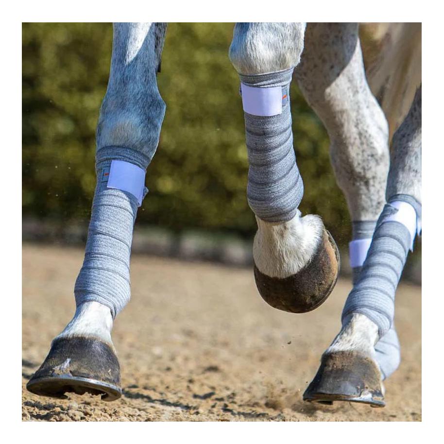 Incrediwear Equine Arbeitsbandagen Circulation (Paar)