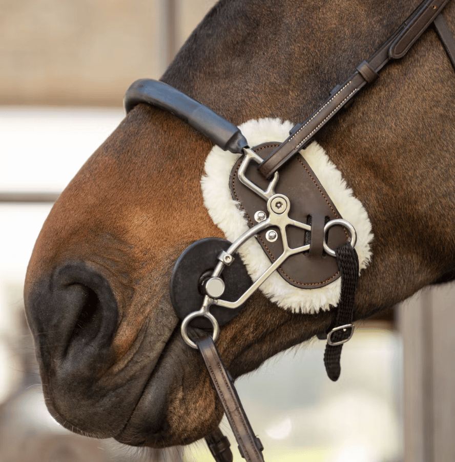 Dy'on Hackamore Schutz Lammfell