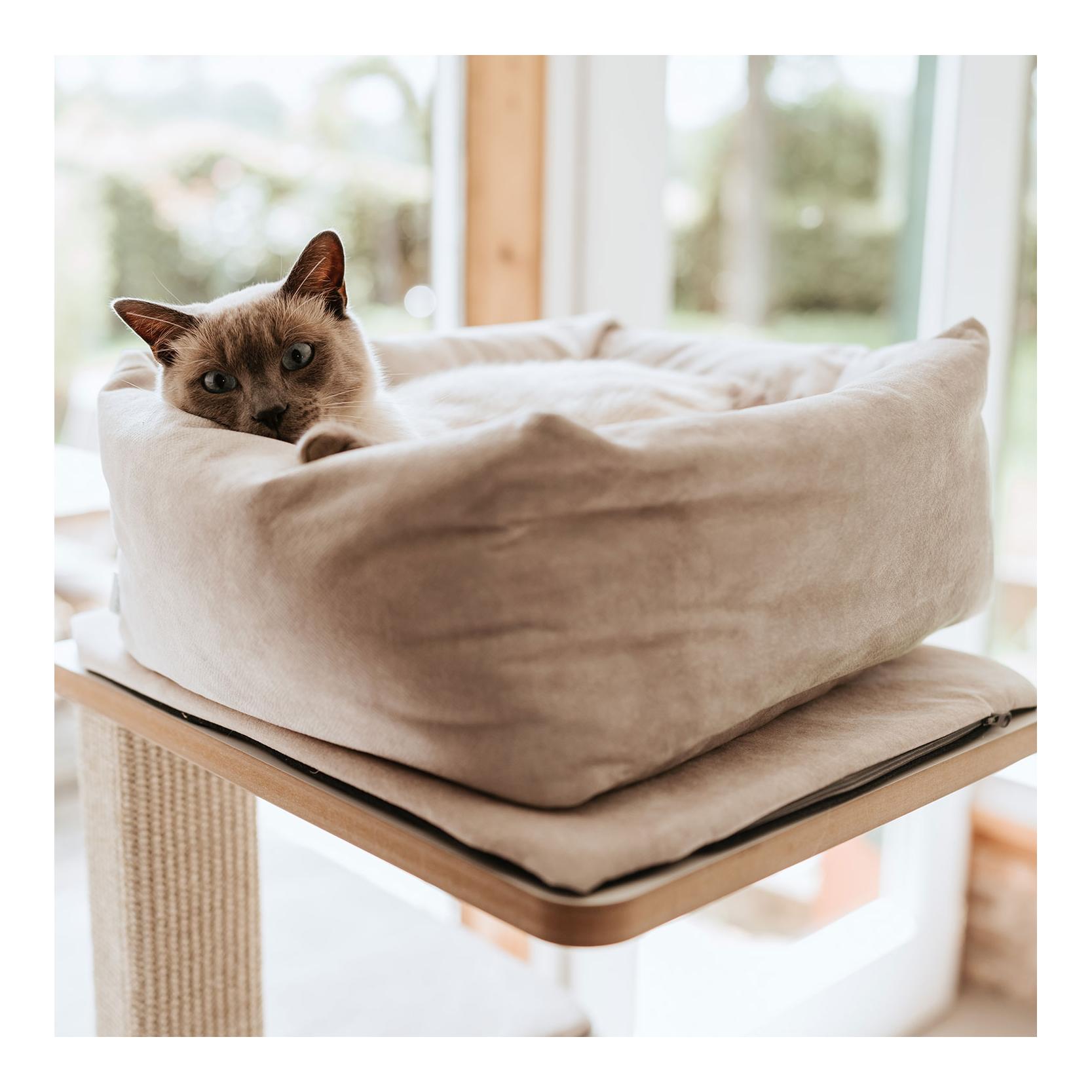 Stylecats by Hunter Kratzbaum Owen 