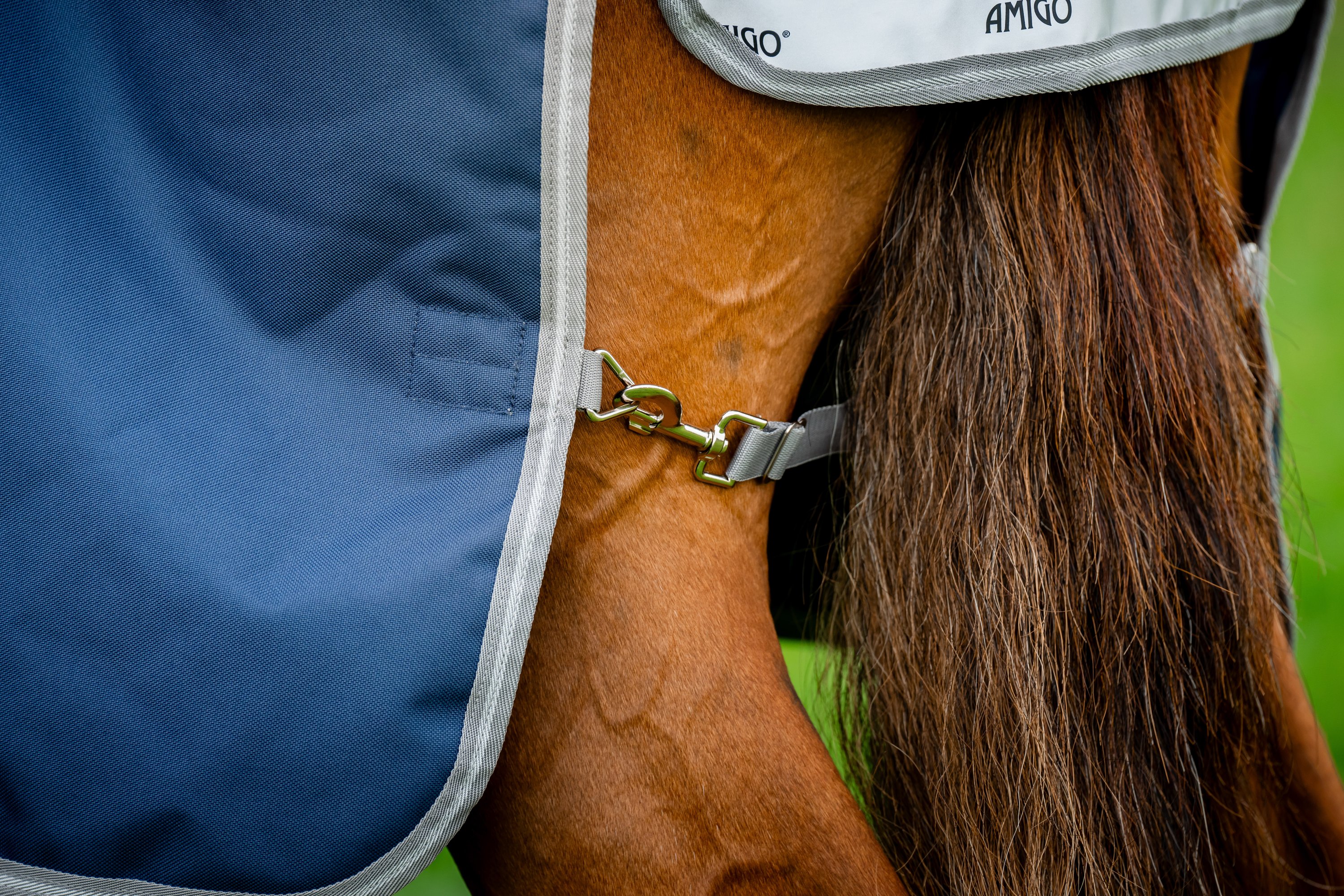 Weidedecke Amigo® 1200D 100g