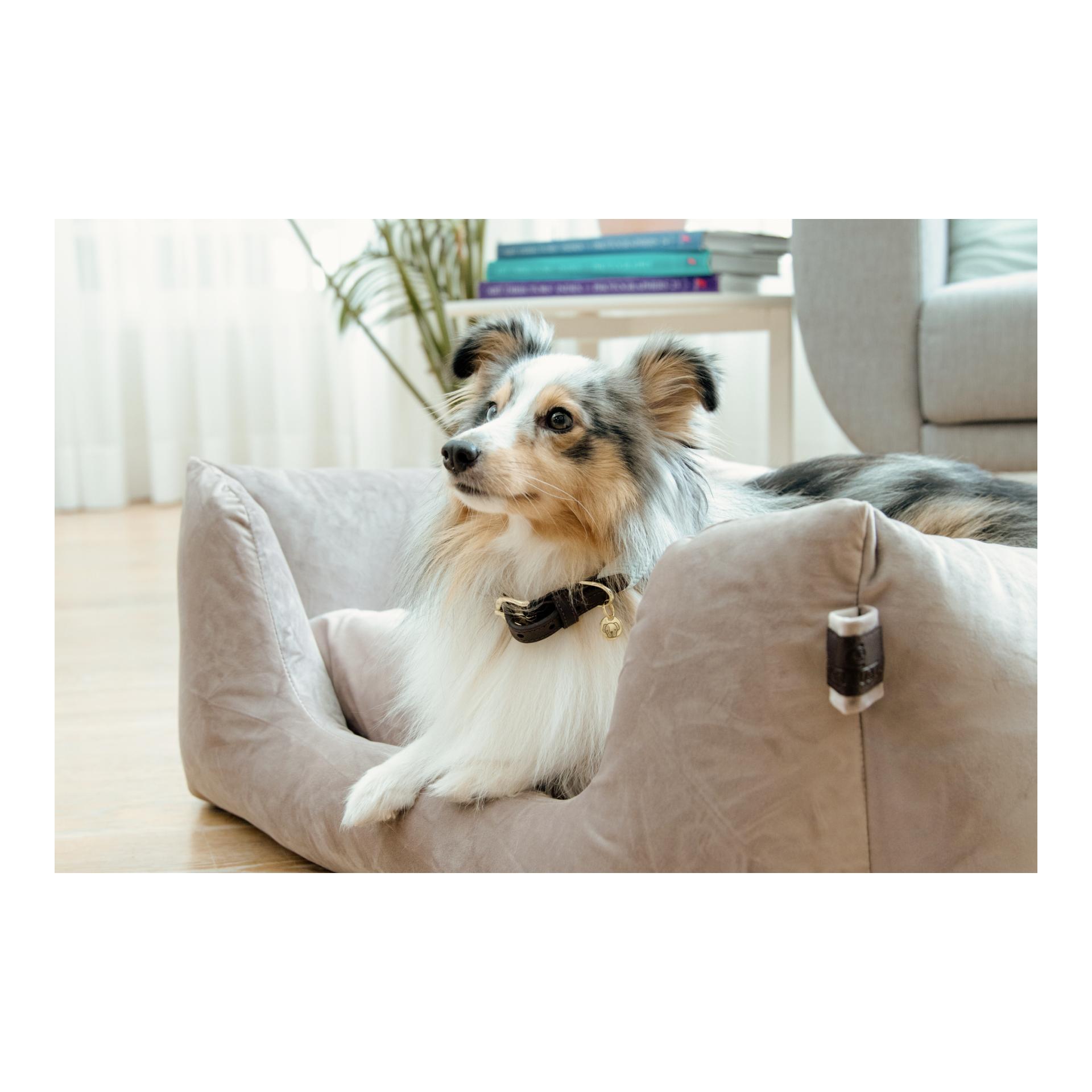 Hundebett Velvet Hundebett Velvet
